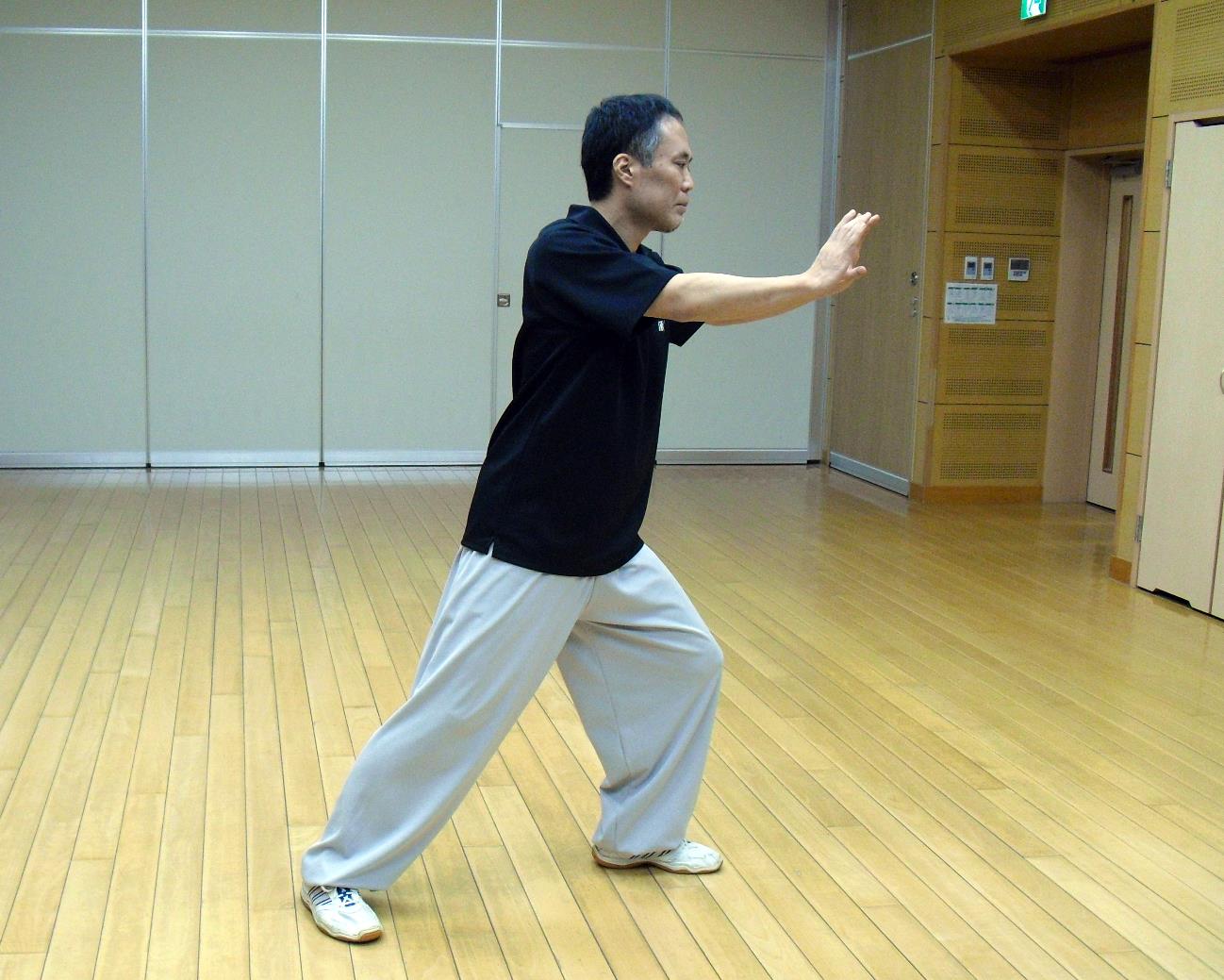 楊式太極拳 如封似閉(双按)の写真