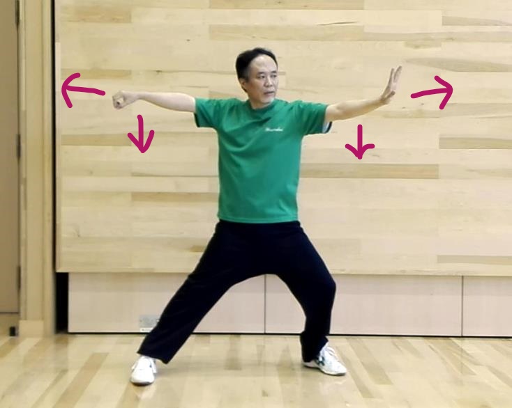 単鞭の落式の写真