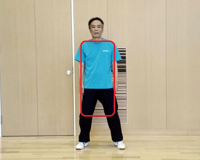 両肩から両膝までを一枚の板とする太極拳の姿勢