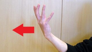 中国拳法の手型の一つである背掌の写真