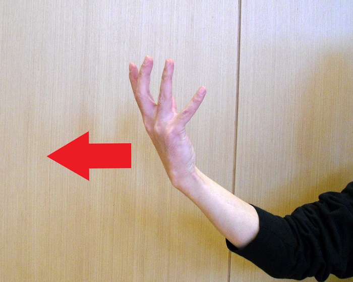 中国拳法の手型の一つである背掌の写真